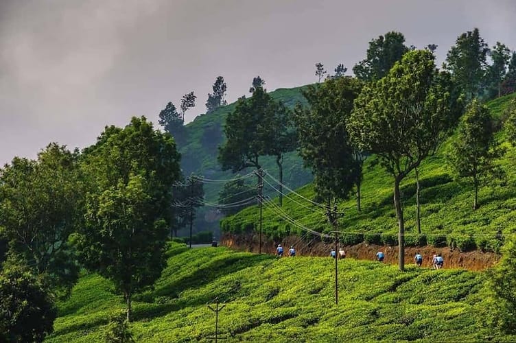 WhatsApp Image 2026-02-12 at 19.51.40