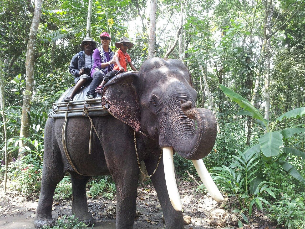 WhatsApp Image 2026-02-12 at 20.20.28