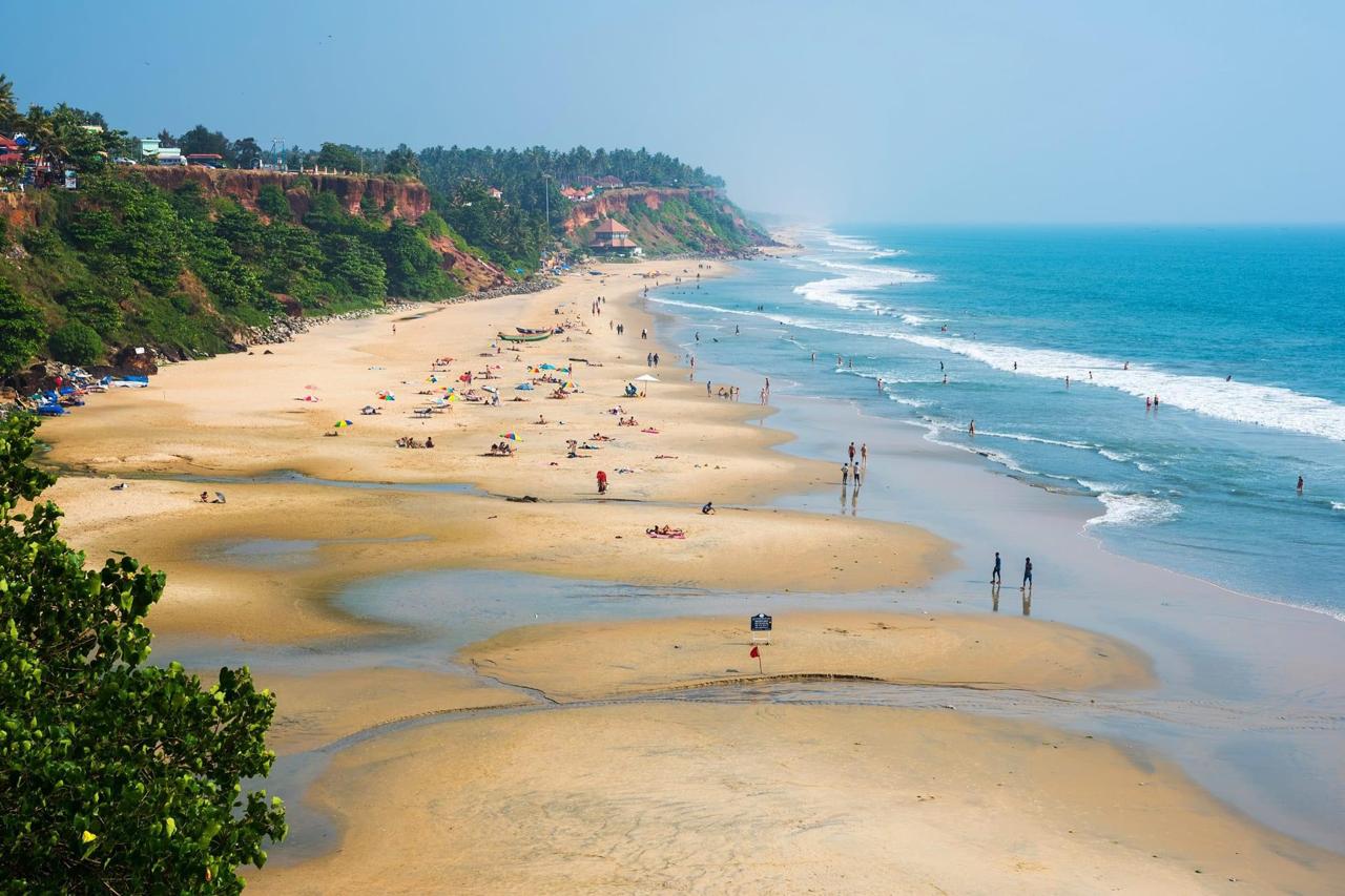 WhatsApp Image 2026-02-12 at 20.21.54