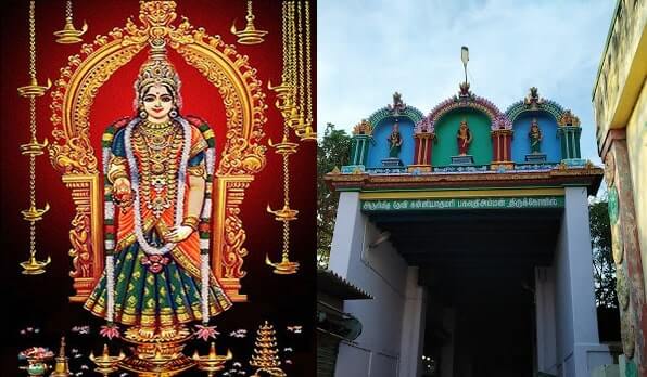 WhatsApp Image 2026-02-13 at 17.39.30